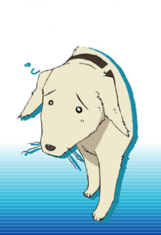 Inu