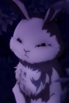 Usagi