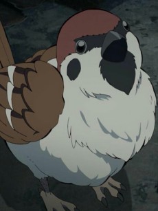 Ukogi