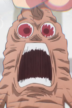 Mandragora