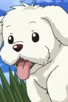 Chouchou