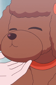 Choco