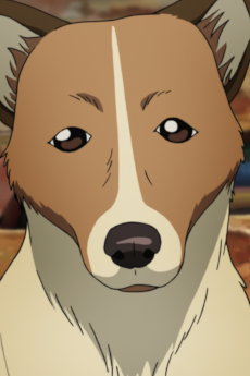 Wanko